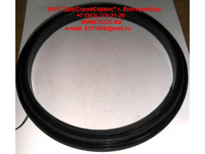 Сальник 165х195х16 балансира DF DONG FENG (ДОНГ ФЕНГ) 29ZB3-04084  для самосвала фото 1 Тобольск