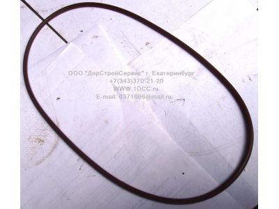 Кольцо уплотнительное задней ступицы F FAW (ФАВ) 2406033 для самосвала фото 1 Тобольск