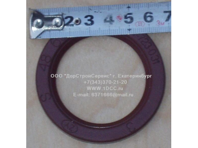 Сальник 48х65х6,2 H HOWO (ХОВО)  фото 1 Тобольск