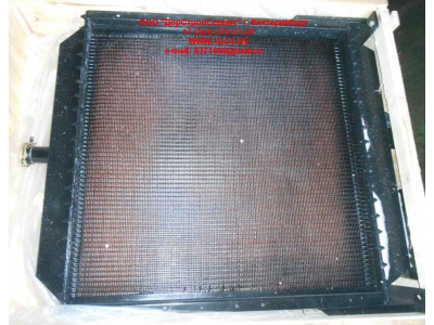 Радиатор охлаждения двигателя CDM 855EK Lonking CDM (СДМ) CDM855EK.01I.04 фото 1 Тобольск