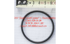 Кольцо уплотнительное ø346х3.5 гидромуфты ГТР CDM 855, 843 фото Тобольск