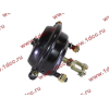 Камера тормозная передняя правая SH F3000 SHAANXI / Shacman (ШАНКСИ / Шакман) 81.51101.6265 фото 2 Тобольск