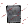 Радиатор WP12 SH SHAANXI / Shacman (ШАНКСИ / Шакман) DZ95259532203 фото 2 Тобольск