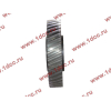 Шестерня привода распредвала промежуточная WD615/WP10 HOWO (ХОВО) VG1560050053/61560050053 фото 3 Тобольск